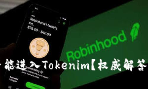 传销币是否能进入Tokenim？权威解答与深度分析