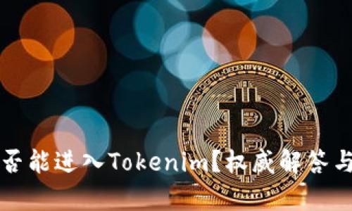 传销币是否能进入Tokenim？权威解答与深度分析