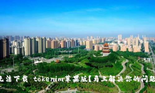 无法下载 tokenim苹果版？马上解决你的问题！