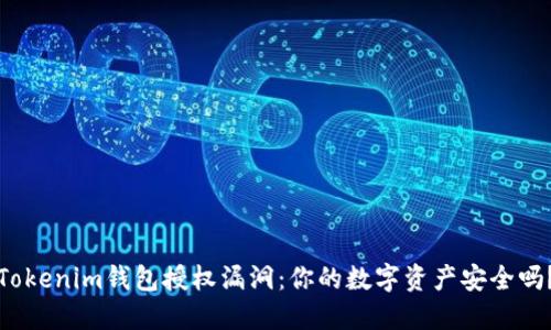 Tokenim钱包授权漏洞：你的数字资产安全吗？