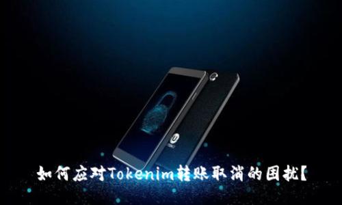 如何应对Tokenim转账取消的困扰？