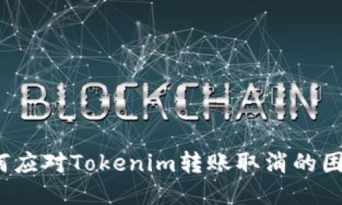 如何应对Tokenim转账取消的困扰？