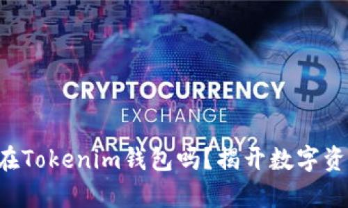 比特币能存放在Tokenim钱包吗？揭开数字资产管理的真相！