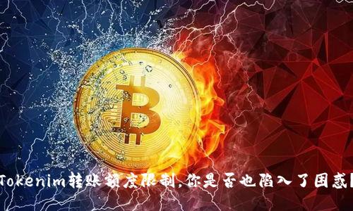 Tokenim转账额度限制，你是否也陷入了困惑？