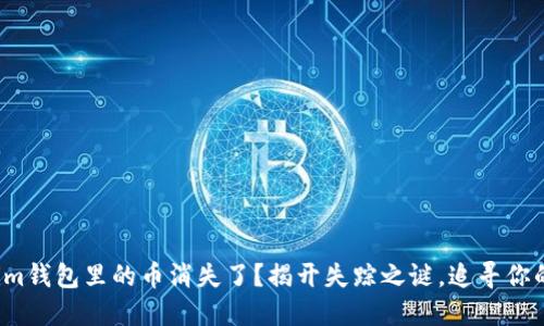 Tokenim钱包里的币消失了？揭开失踪之谜，追寻你的资产！