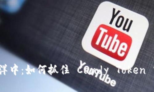 在糖果的海洋中：如何抓住 Candy Token 空投的机会？