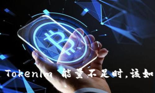 当你的 Tokenim 能量不足时，该如何应对？