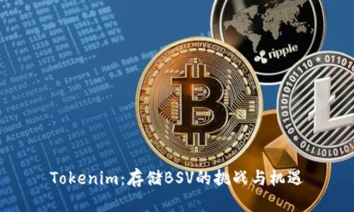 Tokenim：存储BSV的挑战与机遇