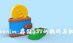 Tokenim：存储BSV的挑战与机遇