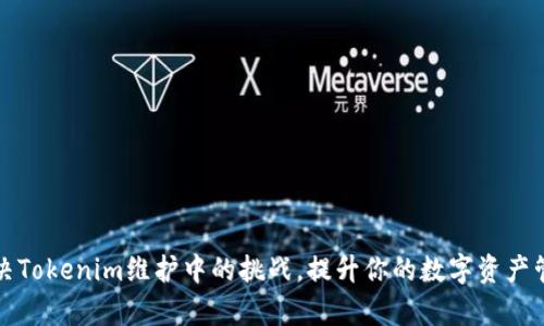 如何解决Tokenim维护中的挑战，提升你的数字资产管理效率
