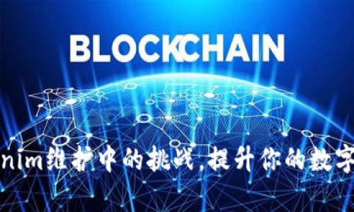 如何解决Tokenim维护中的挑战，提升你的数字资产管理效率