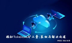 揭秘Tokenim矿工费：真相与解决之道