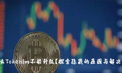 为什么Tokenim不能升级？探索隐藏的原因与解决方案！