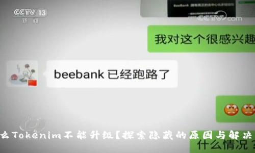 为什么Tokenim不能升级？探索隐藏的原因与解决方案！