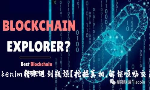 你的Tokenim转账遇到瓶颈？挖掘真相，解锁顺畅交易之道！