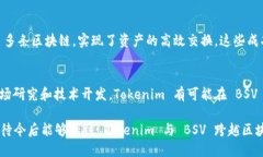 要将 Tokenim 和 BSV (Bitcoin SV) 结合使用，首先我们