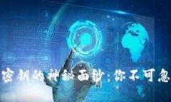 揭开Tokenim密钥的神秘面纱：你不可忽视的重要角