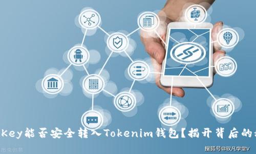 币乎Key能否安全转入Tokenim钱包？揭开背后的秘密！