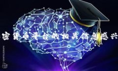 看起来您提到的“tokenimusdt余额”与加密货币相关