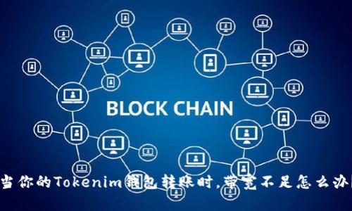 当你的Tokenim钱包转账时，带宽不足怎么办？