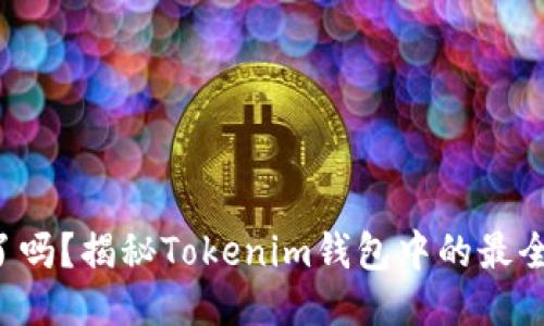 你错过了吗？揭秘Tokenim钱包中的最全空投币!