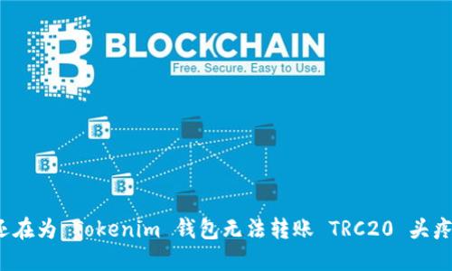 你还在为 Tokenim 钱包无法转账 TRC20 头疼吗？