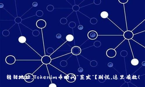 转错地址，Tokenim币瞬间“蒸发”？别慌，这里有救！