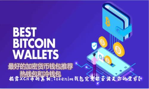 揭露XCH币的真相：Tokenim钱包究竟能否满足你的需求？