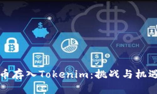 如何将人民币存入Tokenim：挑战与机遇的完全指南