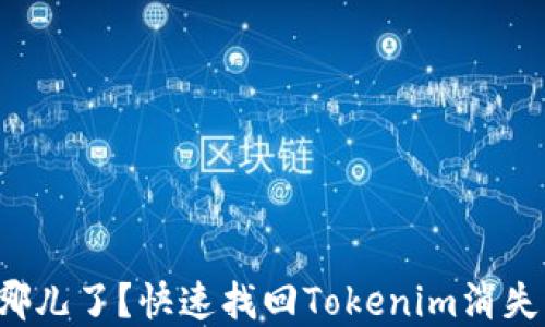 
你的资产去哪儿了？快速找回Tokenim消失的资产秘诀！