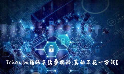 Tokenim转账手续费揭秘：真的不花一分钱？