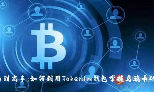 从投资小白到高手：如何利用Tokenim钱包掌握乌鸦币的投资机会？