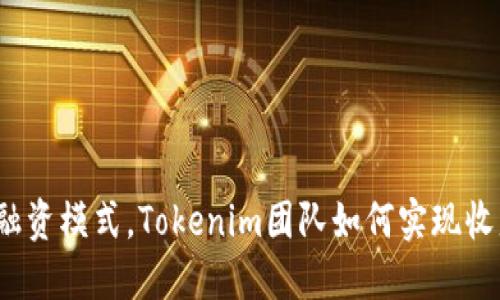 挑战传统融资模式，Tokenim团队如何实现收益最大化？