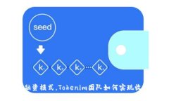 挑战传统融资模式，Tokenim团队如何实现收益最大