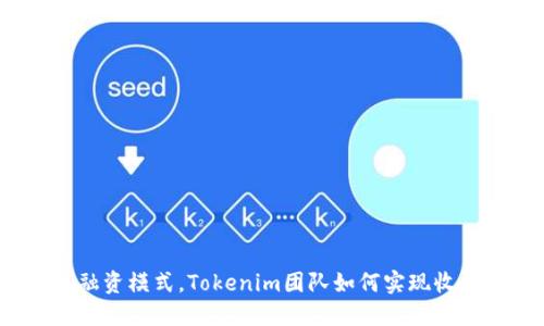 挑战传统融资模式，Tokenim团队如何实现收益最大化？