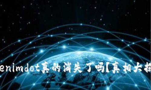 Tokenimdot真的消失了吗？真相大揭秘！