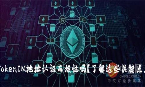 你还在为TokenIM地址认证而烦恼吗？了解这些关键点，轻松解决！