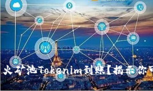 如何快速确保星火矿池Tokenim到账？揭示你可能忽视的细节！