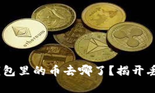 你的Tokenim钱包里的币去哪了？揭开丢失资金的真相！