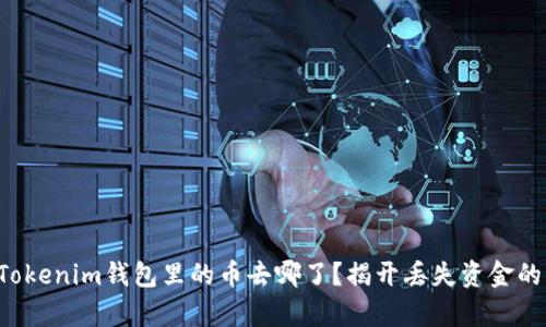 你的Tokenim钱包里的币去哪了？揭开丢失资金的真相！