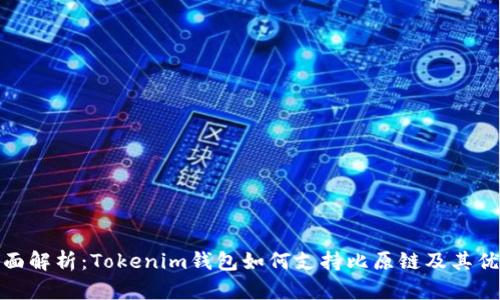 全面解析：Tokenim钱包如何支持比原链及其优势