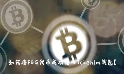 如何将FEG代币成功转入Tokenim钱包？
