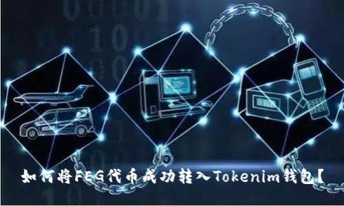 如何将FEG代币成功转入Tokenim钱包？