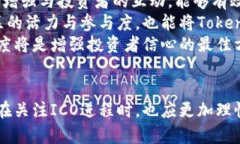 解决Tokenim无法进行ICO的问题：全面剖析与应对策