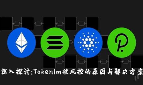 深入探讨：Tokenim被风控的原因与解决方案