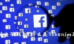全面解析电子钱包：什么是Tokenim及其优势
