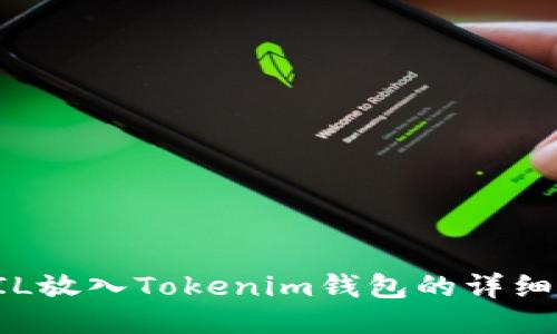 如何将FIL放入Tokenim钱包的详细步骤指南