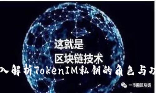 深入解析TokenIM私钥的角色与功能