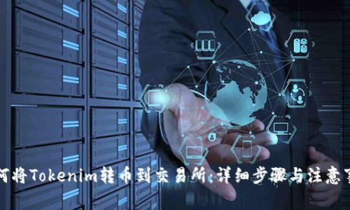 如何将Tokenim转币到交易所：详细步骤与注意事项