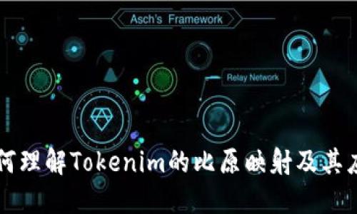 如何理解Tokenim的比原映射及其应用